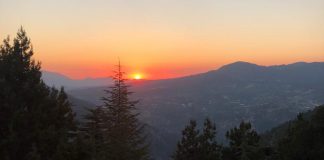 Pan-de-mi (Seslendiren: Pınar Dağcıoğlu)